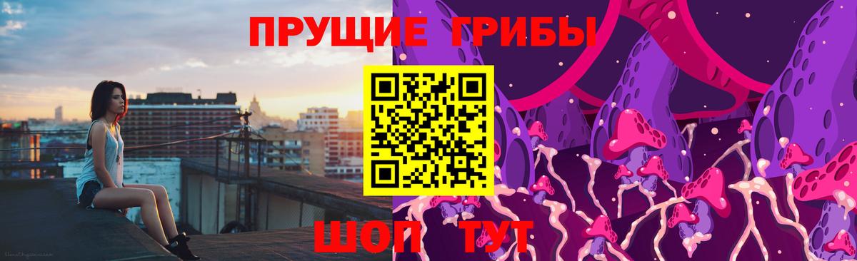 Медногорск  Галлюциногенные грибы GOLDEN TEACHER  Вход с VPN 